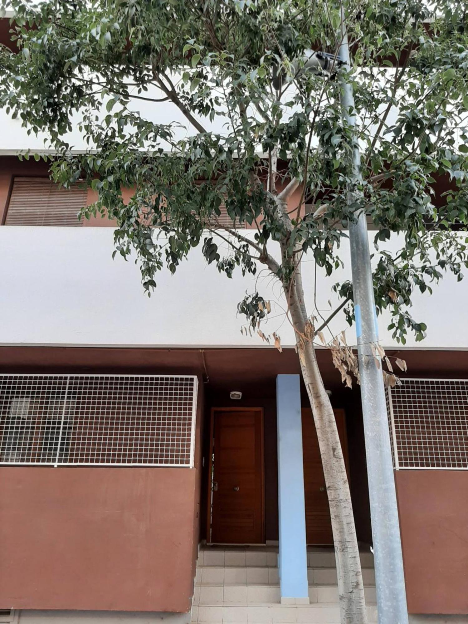 Casa Lliri Con Piscina En Valencia *